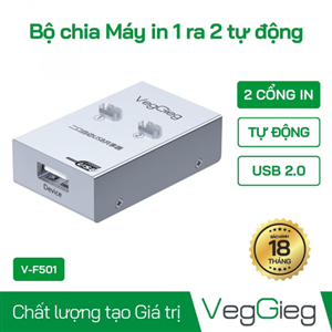 Bộ Chia Máy In 1 Ra 2 Tự Động Veggieg V-F501 Chính Hãng
