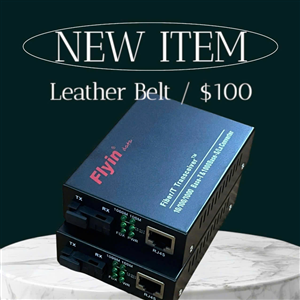 Bộ Media Converter Quang FM-3100S-A/B-20 - Hiệu Suất Ổn Định, Truyền Dữ Liệu Tốc Độ Cao